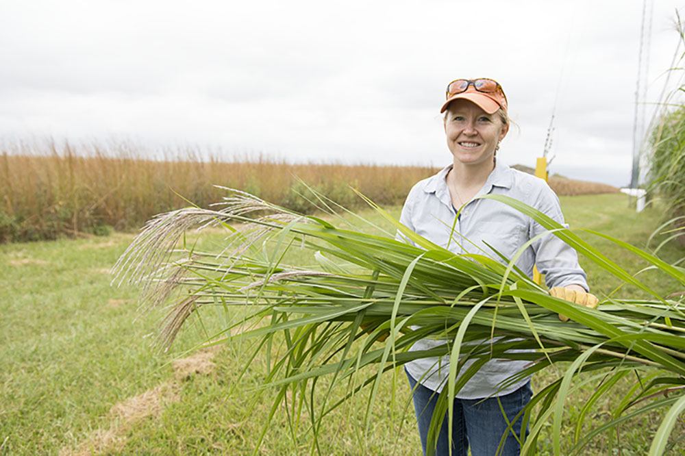 Ilsa Kantola: Sustainable Farming has its Roots in Soil