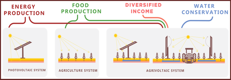 USDA Funds ‘Agrivoltaics’ Project Led by iSEE, University of Illinois Researchers