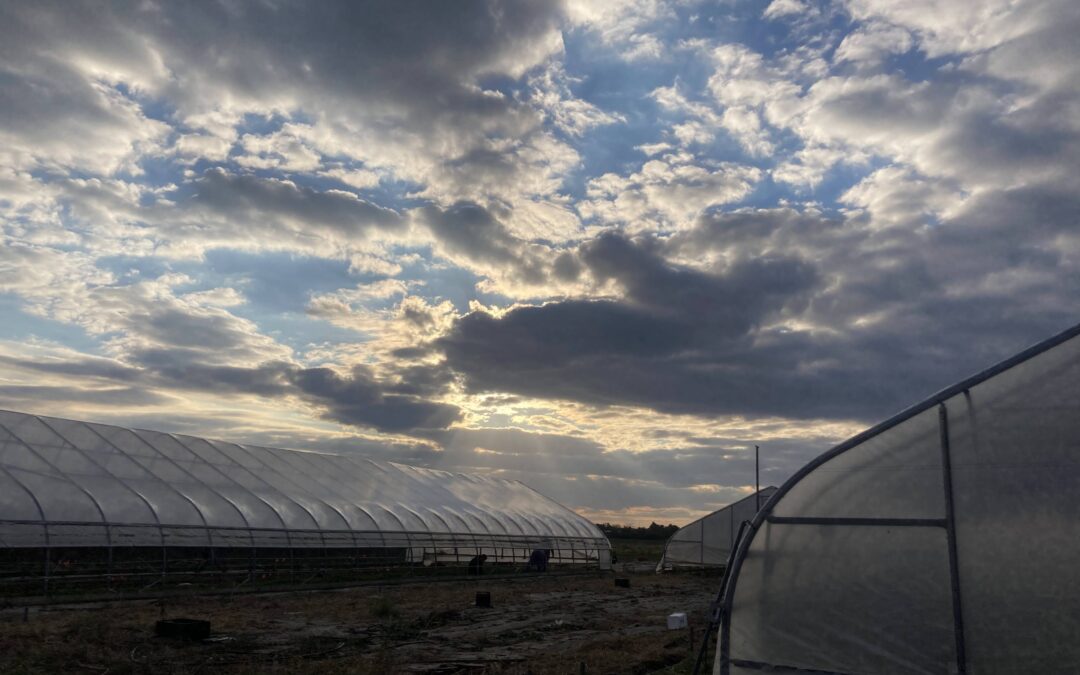 The Sustainable Student Farm: Educating Farmers of the Future