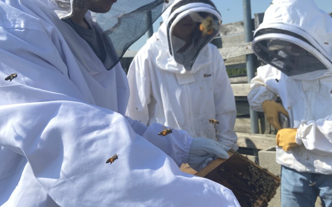 Part of Pollin-Nation: Beekeeper Club’s Charges Benefit Farm, Environment