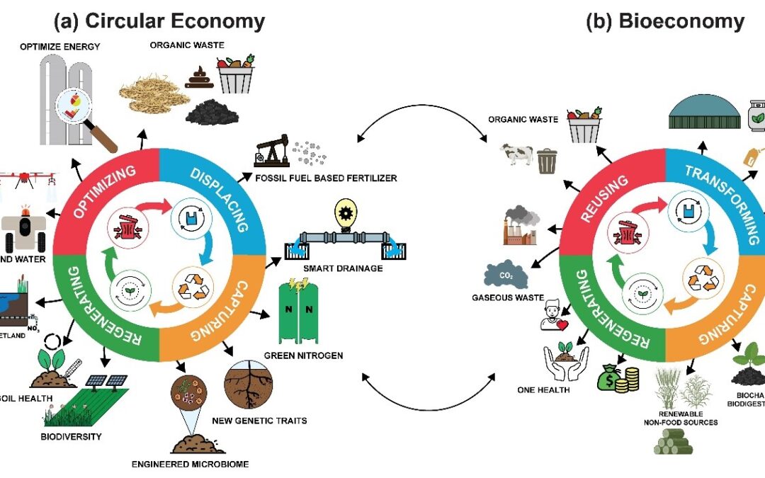 Transition to a Circular Bioeconomy Requires Getting Prices Right